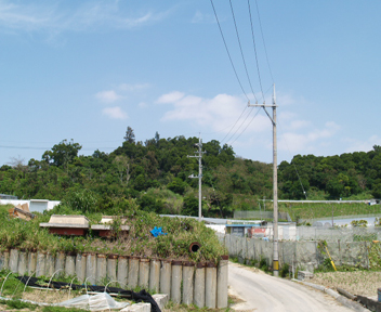 �삩��̉��i